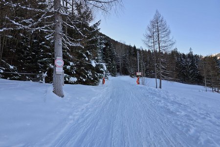 Naturrodelbahn Brandenberg