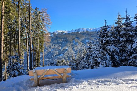 Glungezer Winterwaldwanderung