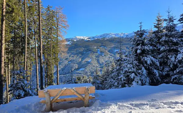 Glungezer Winterwaldwanderung