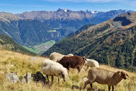 Sommeraktivitäten in den Ötztaler Alpen: Wandern und Erforschen