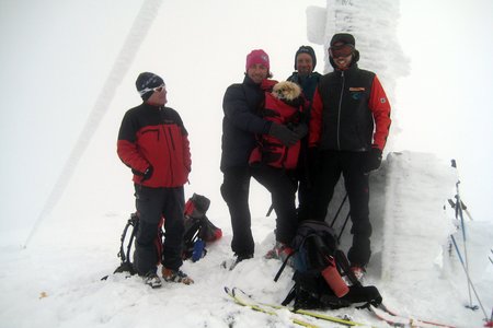 Königsanger (2436 m) vom Parkplatz Kühhof