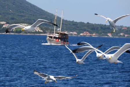 Die Freiheit auf dem Wasser