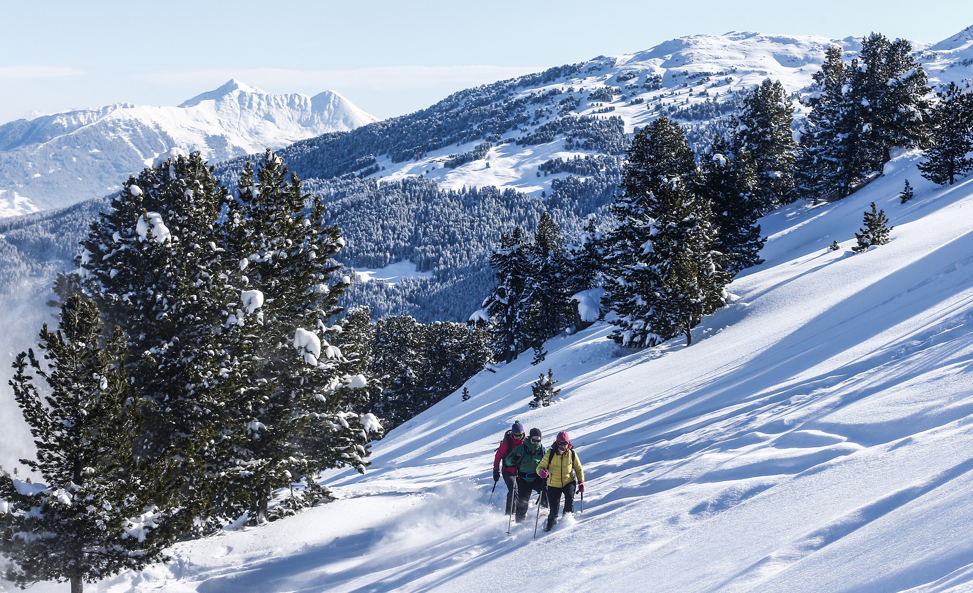 winterwandern schneeschuhe tuxer alpen, hall-wattens