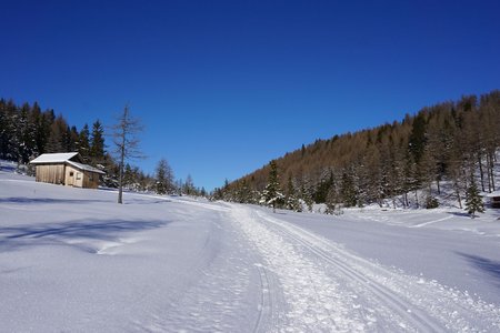 Winter-Rundwanderweg Waldraster Jöchl