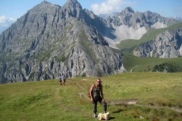 Trekking mit Hund im Tannheimer Tal