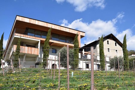 Weinbergwanderung Vom Kloster Neustift Brixen Eisacktal