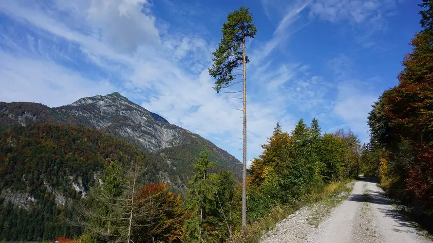 Bike & Hike Runde Kössen Leukental Straubinger Haus